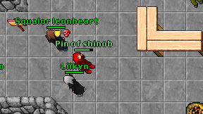 Pin of shinob on screen
