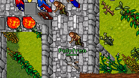 Polyfren on screen