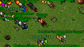 Sucqa on screen