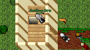 Golilop Bro on screen