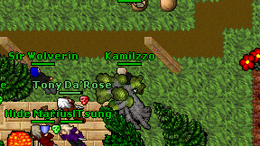Kamilzzo on screen