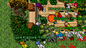 Ditefi on screen