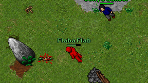 Flaba Flab on screen