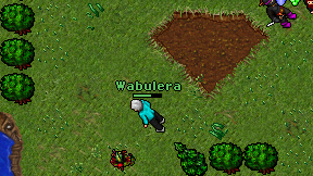 Wabulera on screen