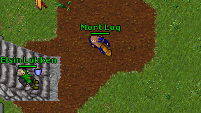 Mort Log on screen