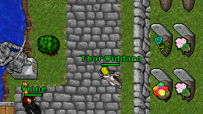 Thor Widdaro on screen