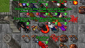 Piepmatz on screen