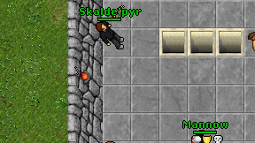Skalde'pyr on screen