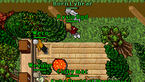 Rysio Bgd on screen