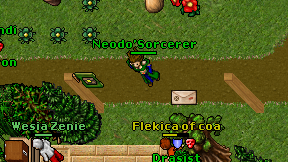 Neodo'Sorcerer on screen