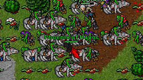 Phoenix of Havoc on screen