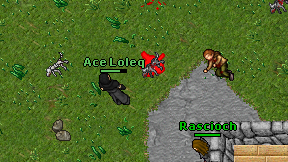 Ace Loleq on screen