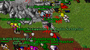 Gansper on screen