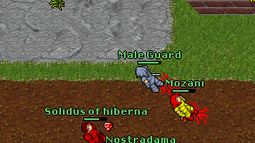 Male Guard on screen