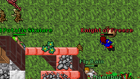 Knight of Freeze on screen