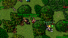 Skorn on screen