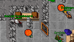 Aeryk Ironbeard on screen