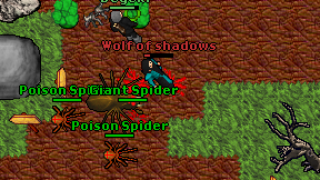 Wolf of shadows on screen
