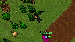Tifanny on screen