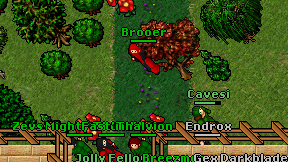 Brooer on screen