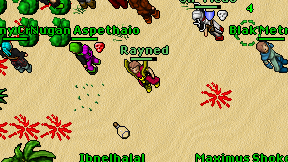 Rayned on screen