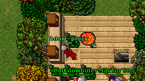 Arus Vielkus on screen