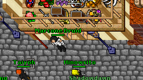 Marcone Druid on screen