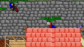 Palek Ziolo on screen