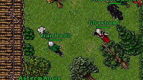 Vian Radil on screen