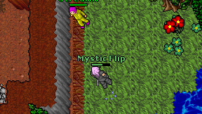 Mystic Flip on screen