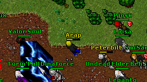 Arap on screen
