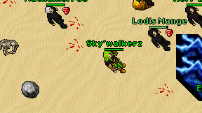 Sky'walkerz on screen