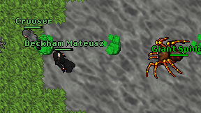 Beckham Mateusz on screen
