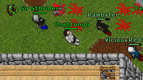 Chantongo on screen