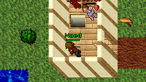 Naed on screen
