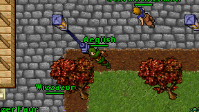 Aegiish on screen