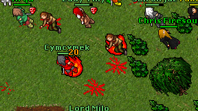 Cymcymek on screen