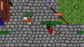 Sir buffalo on screen