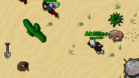 Akiilles on screen