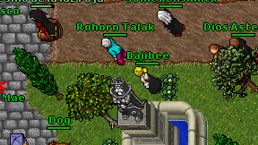 Baiibee on screen