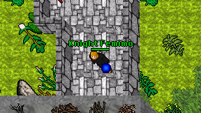 Knight Femimo on screen