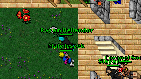 Rayam Hellendor on screen
