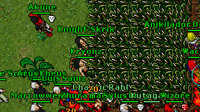 Knight'Skrix on screen