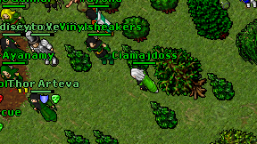 Ciamajdoss on screen