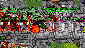 Dromedar on screen