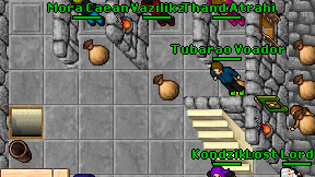 Vazilikz on screen