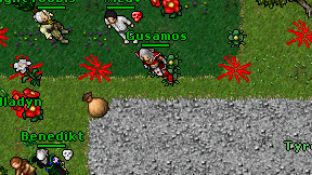 Gusamos on screen