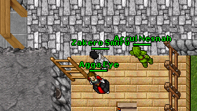 Zakero Smiro on screen