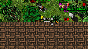 Hirro on screen