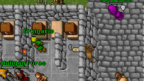 Erkinario on screen